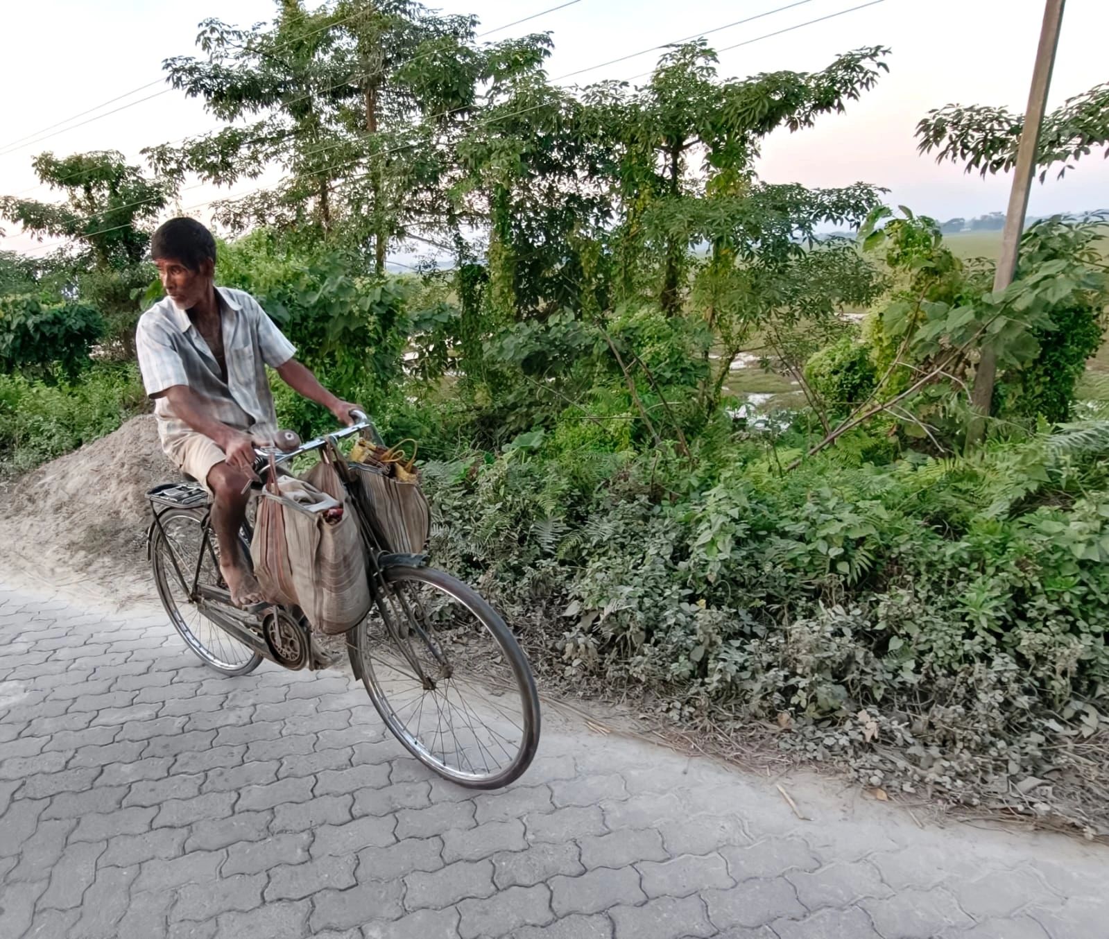 A villager cycling with cloth bags along a paved lane bordered by dense green vegetation and paddy fields in rural Assam