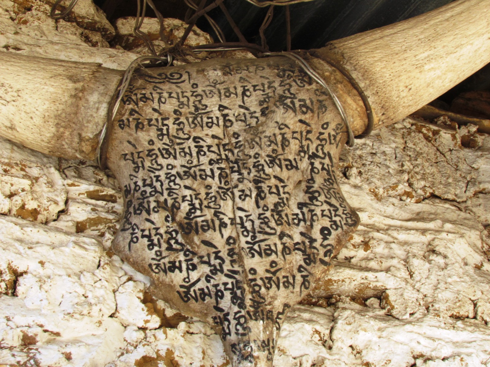 Mithun skull wired to a house beam and covered in hand-painted Tibetan mantra script, in a Monpa village of West Kameng